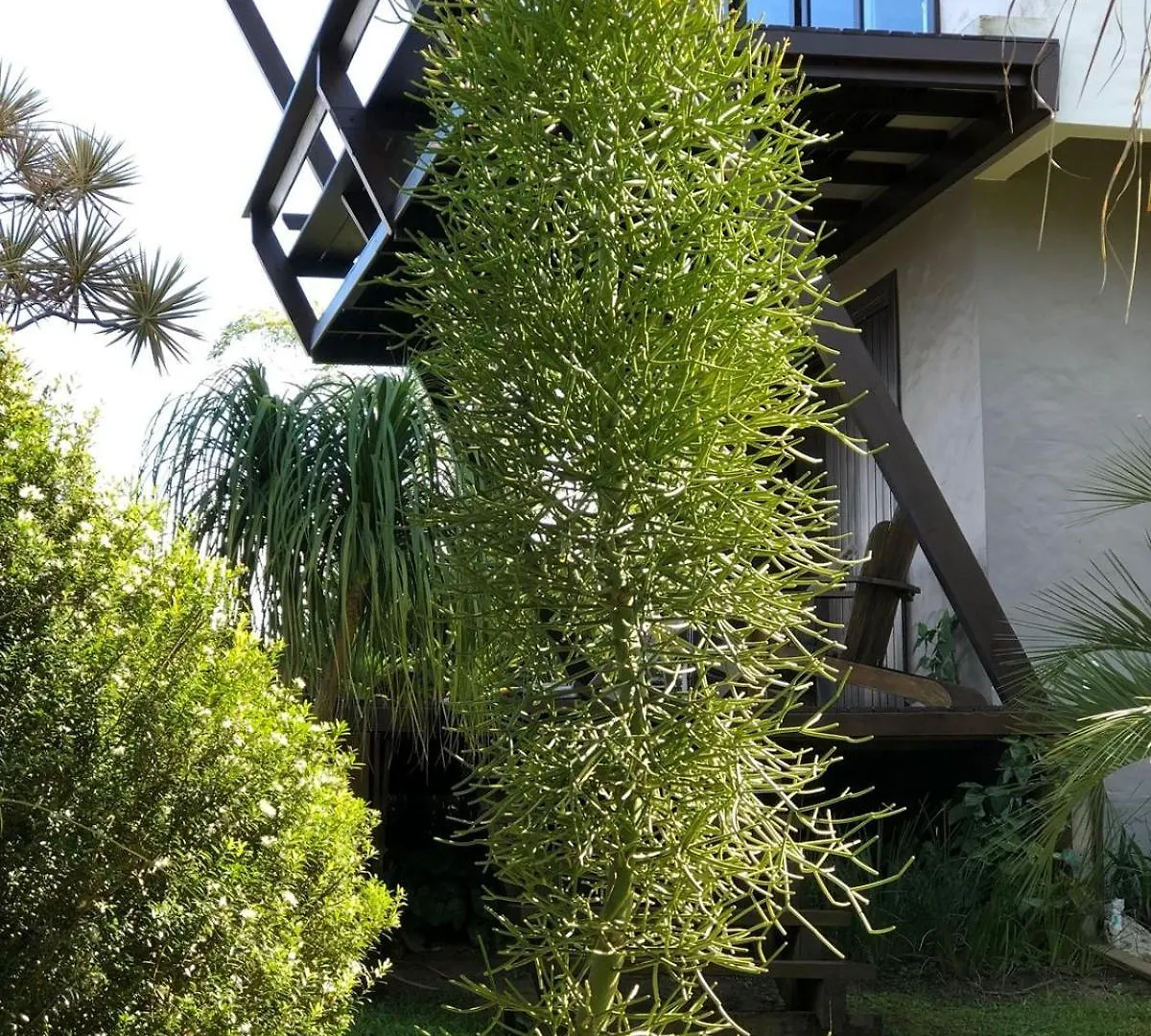 Casa Com Vista Lagoa E Spa Imbituba  0*, Imbituba (Santa Catarina)